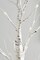 Perfect Holiday 50CM Table Birch Tree 18 LED - Battery Operated